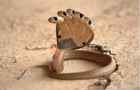 科学无法解释的未解之谜:到底是不是人为的造势