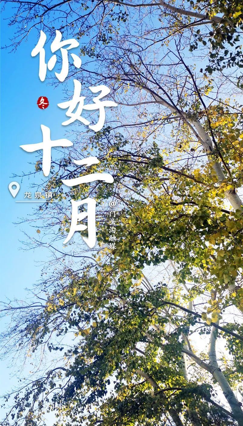 你好十二月!任凭世间纷扰,静守岁月安好