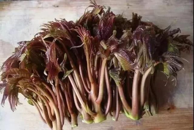 当洋槐花落到河南人手里之后,奇迹发生了…