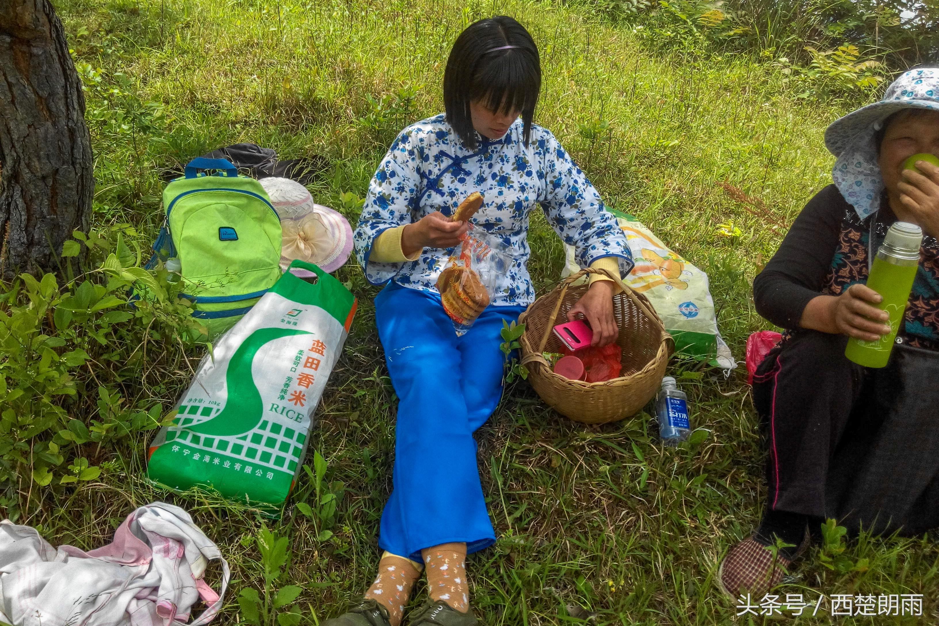 山村小媳妇峭壁采野茶 每天只吃一顿饭喝泉水