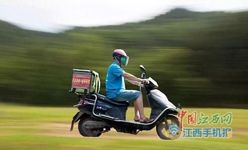 医科大学生养羊险破产 努力坚持终于发羊财