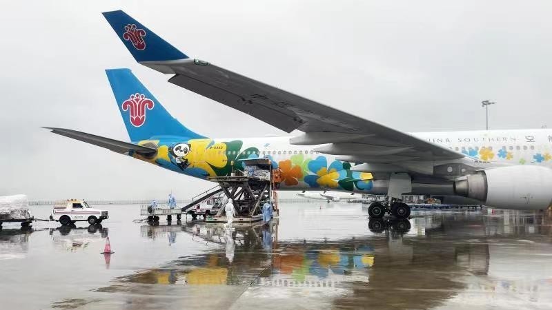 南航开通首条重庆-迪拜“客改货”航线 南航开通首条重庆-迪拜“客改货”航线