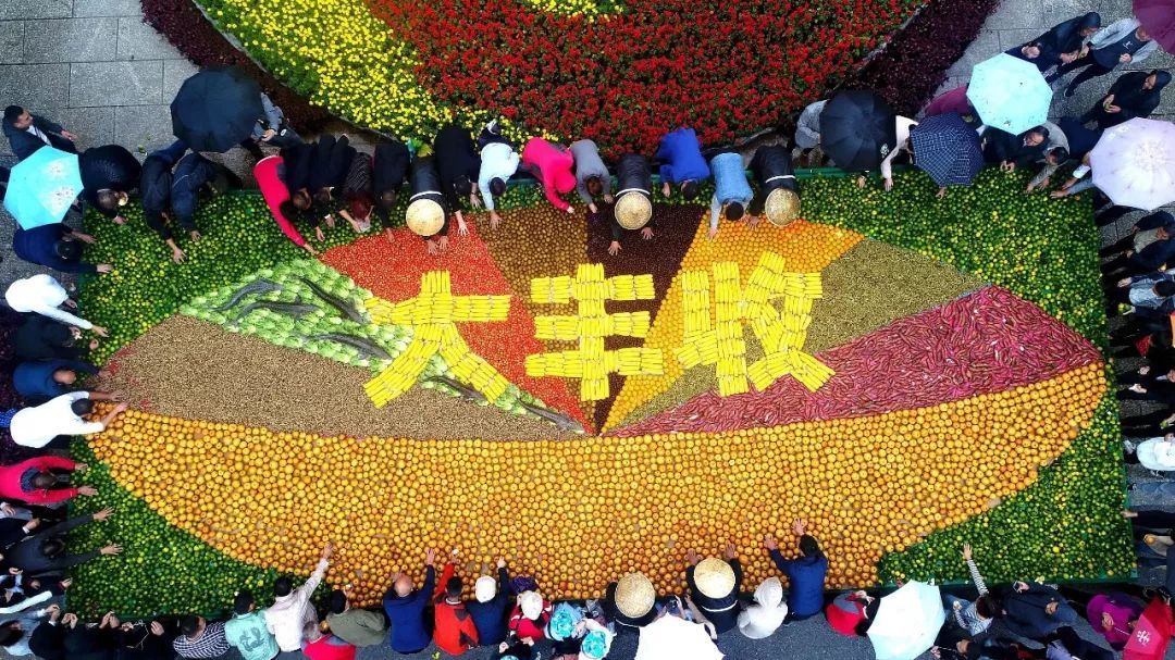 丰收节来了!如何才能不再“五谷不分”? 丰收节来了!如何才能不再“五谷不分”?