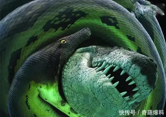 史前的一种凶猛巨兽,因天下无敌被灭绝!