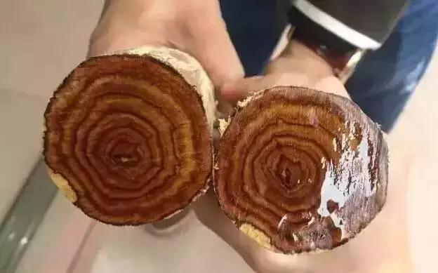 这些你都不知道,还敢说自己懂海南黄花梨?
