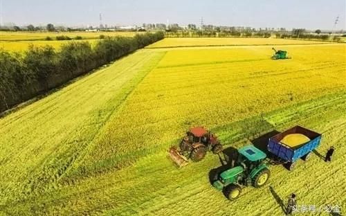 现在农村包地一亩补助500元是真的吗?