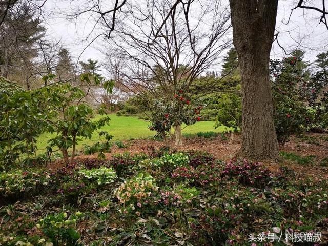 华为 P20 Pro VS诺基亚Lumia1020:穿越时空的