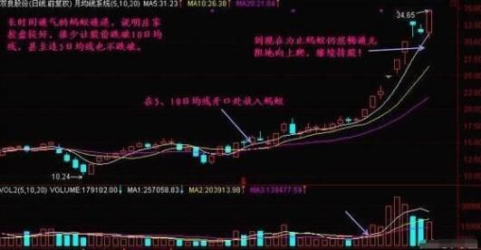 打响!股灾已避无可避,惨状堪比08年股灾!