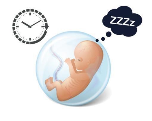 孕妇什么时候听胎教音乐最好?