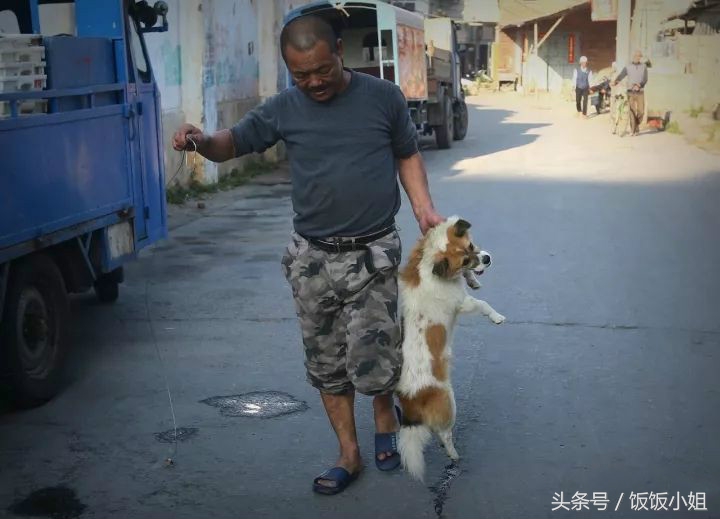 为什么主人打狗时,狗狗从来不会反抗?看完莫名