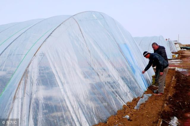 你们村里的确股不确地!这些情况赶紧举报吧