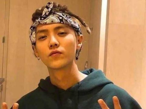 盘点娱乐圈扎脏辫的明星,鹿晗上榜,吴亦凡竟排