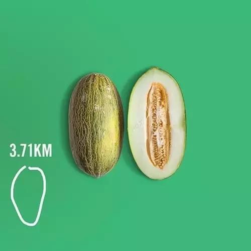 跑步的人果然不简单,用跑步路线画出美食图