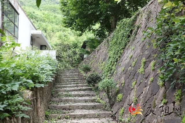 莫干山镇的乡村振兴之路