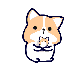 高考忘涂答题卡,60分没了?江西考生给国家信访