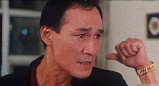 中国功夫巨星排行,成龙未进前十,吴京有点意外