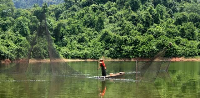 中国最美森林,号称东方亚马逊,就在云南,你知