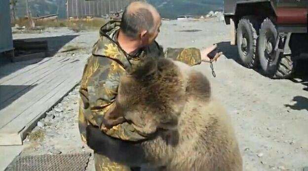 世界上三大怂动物之一俄罗斯的熊