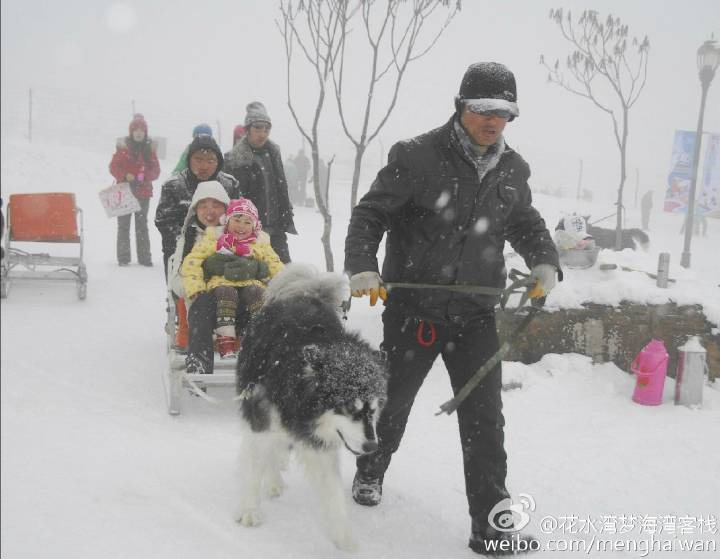 制作图片的游客留下了数百字的配文，文中称，春节期间他们在西岭雪山参观时，看见了景区用狗拉雪橇的方式吸引游客。首先引起他们注意的，是一个人在乘坐雪橇时，多次击打狗的头部，其中两名工作人员继续折磨那条狗，威胁说如果狗不离开小路就会打它。“我们观察了30多分钟，狗继续载人，没有任何间歇。”文中写到，其中一只狗似乎非常口渴。这名游客随后去寻找了貌似管理人员的女士，告诉她目睹了狗受到的虐待，“她很不屑，并试图将脸转向一边。”在这名游客看来，工作人员没有把这些狗看作活物，而是一种获取利益的手段。“通过公开这些，我们只想改善他们的待遇，或许可以限制使用狗拉雪橇，至少给他们一些休息，或者完全关闭。”
