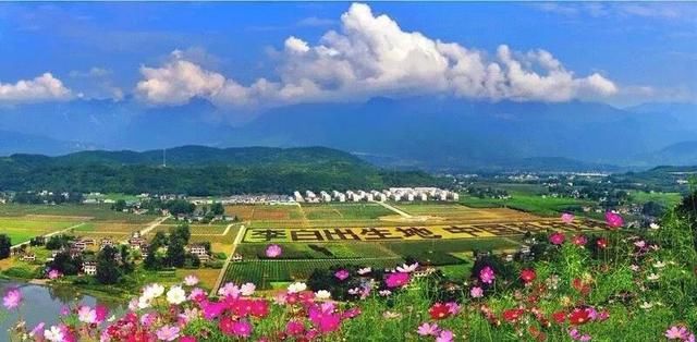 江油这里私藏了大片玫瑰花海,惊艳了时光,温柔
