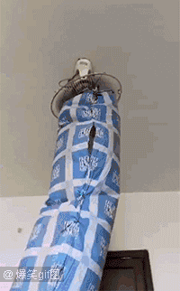 神奇世界看看看--第一百一十季 神奇世界看看看--第一百一十季