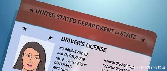 中国驾照 韩国驾照 美国驾照 日本驾照 网友这差距一目了然 雪花新闻 中国驾照 韩国驾照 美国驾照 日本驾照 网友这差距一目了然 雪花新闻