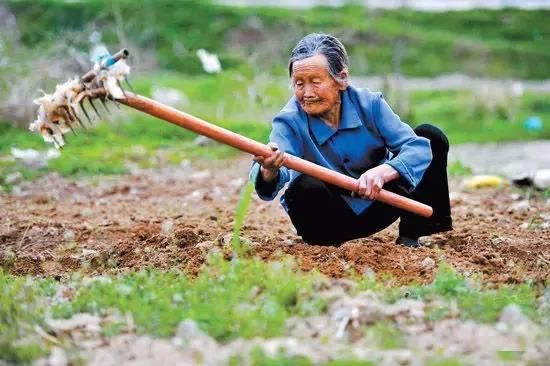 如今农民都不愿意种地了,十年以后中国农村将