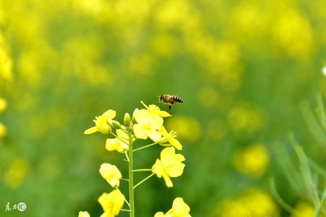 广东城市分级完整名单,三个一线城市,你在的城