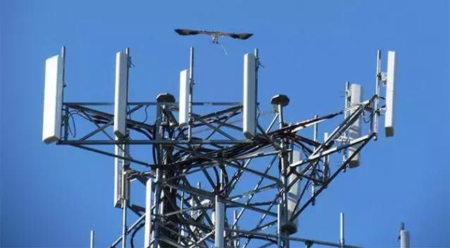 5G网络已来 网速比光纤还快?