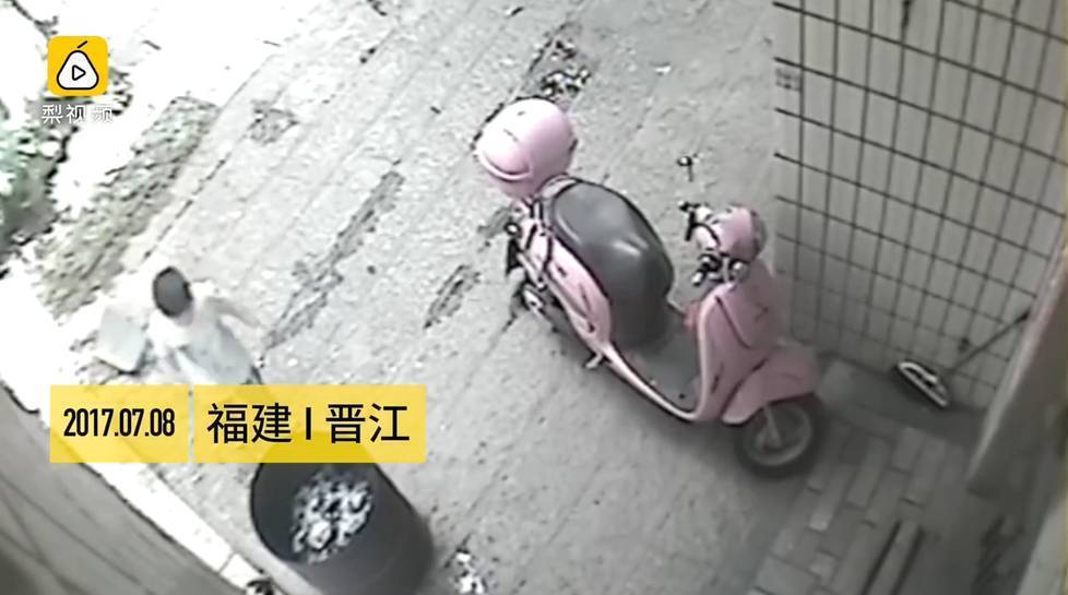小狗被男童扔进火盆 活活烧死 小狗被男童扔进火盆 活活烧死