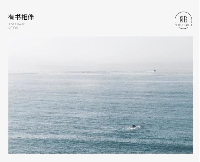 为什么央企,国企等公开招聘都要应届毕业生,而