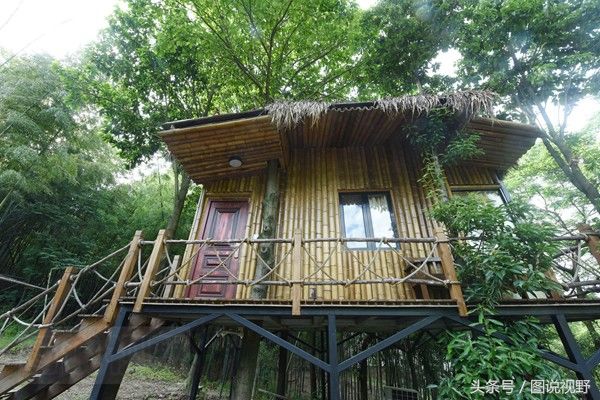 青年建筑老板转型开民宿 一年营业额将有500万