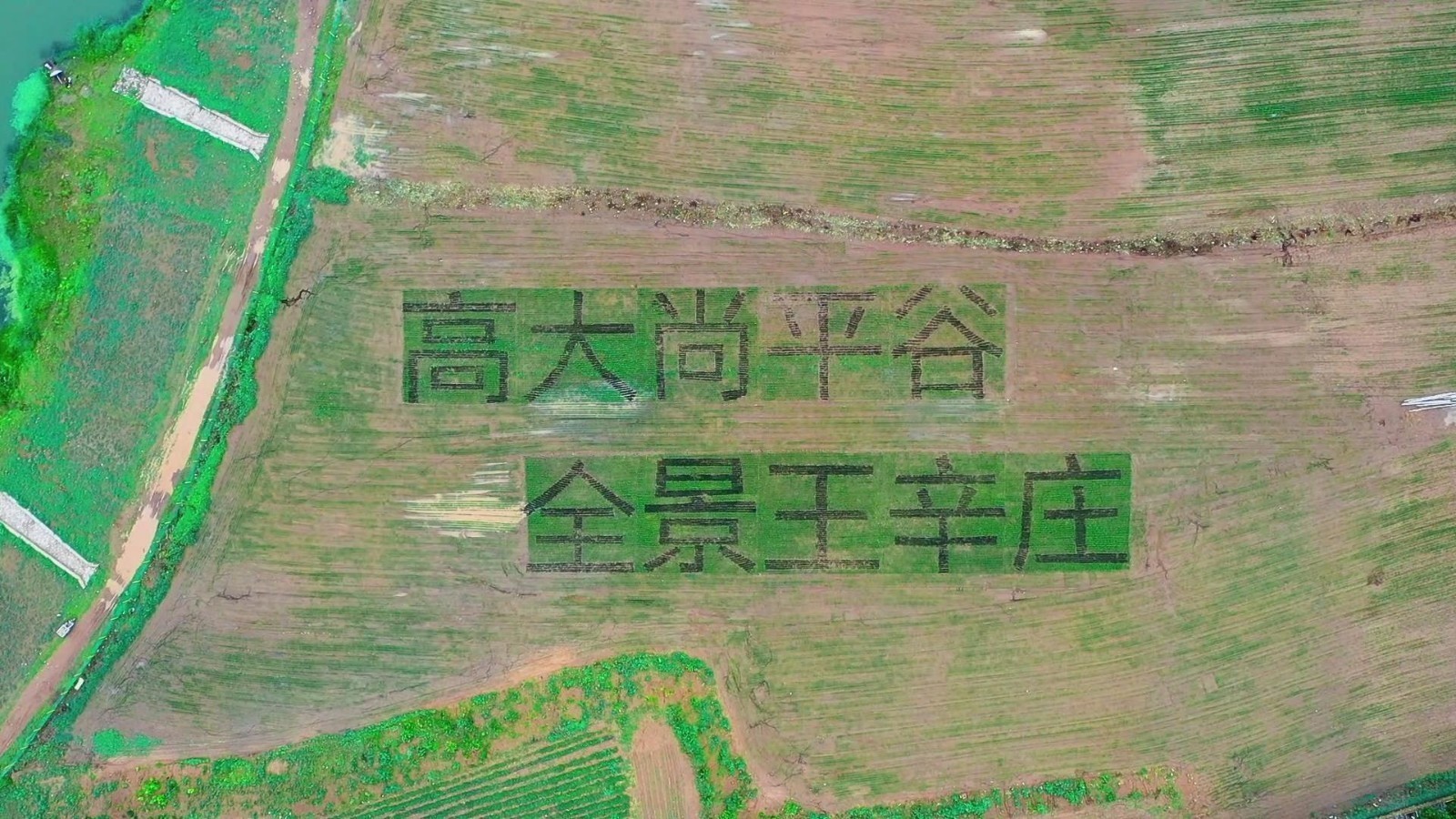 拥有田园“丰”景、人文“贤”景，来王辛庄让您享受理想的生活姿态！