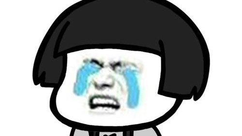 琼瑶阿姨是有多爱排比句