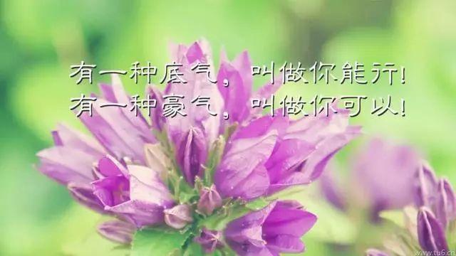 早安励志图片句子:风雨中经历成长,挫折中收获