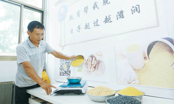 武乡魏宝玉:网上直播卖小米上新闻联播