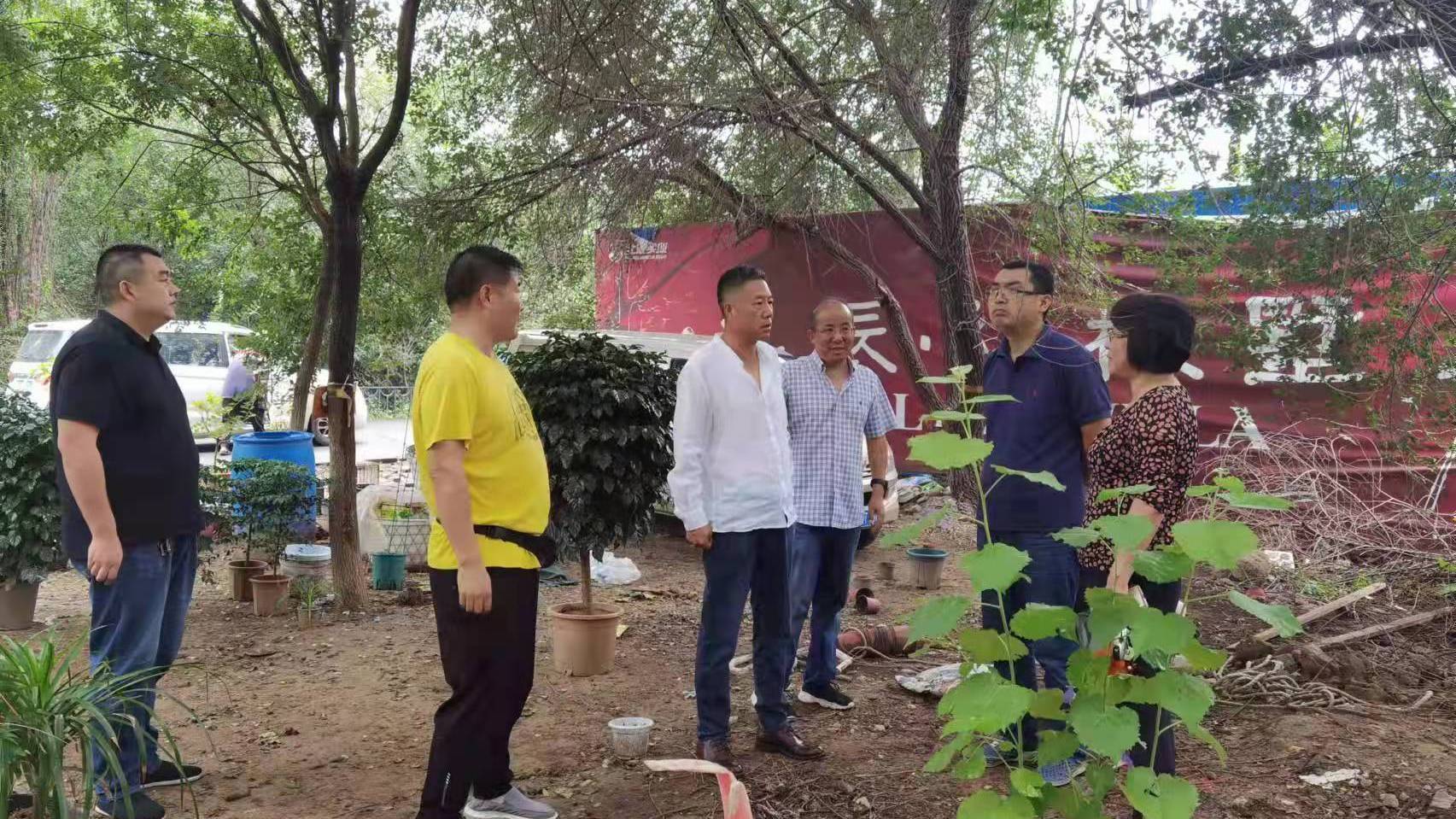 解决居民“头疼事儿”！小汤山这条回家路“脱胎换骨”