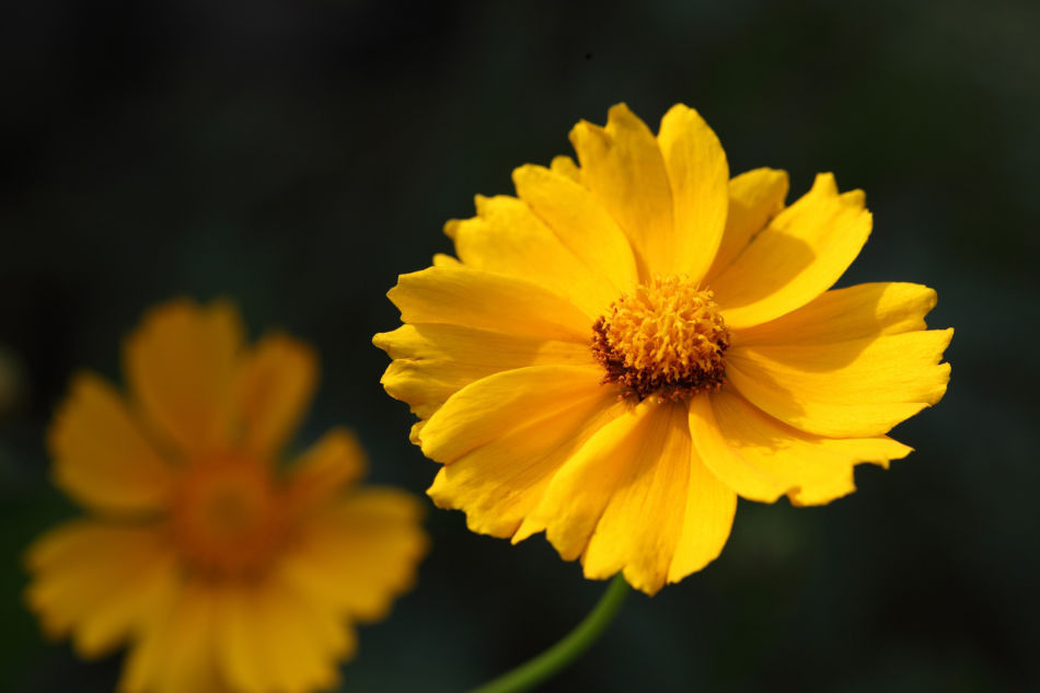 【脸上长痘痘有效排毒养颜去痘方法】推荐超好