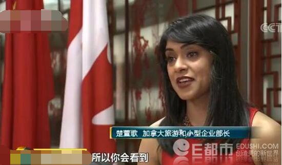 加拿大签证费可网上支付 为抓住中国回头客加