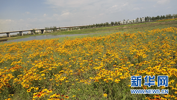 宁夏吴忠打造全域旅游发展新格局