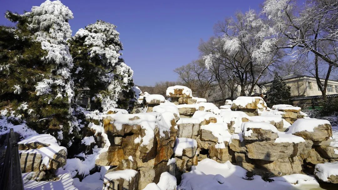 冬天的快乐要来了!八大处公园启动造雪 待迎八方来客 冬天的快乐要来了!八大处公园启动造雪 待迎八方来客