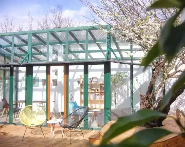 夫妻俩逃离香港,在大理造起一座玻璃房,随手一