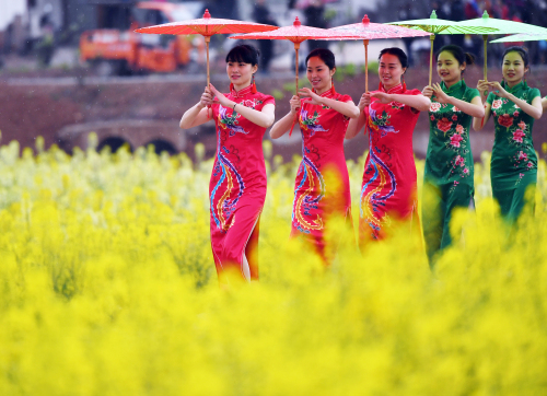 油菜花开引蝶舞 醉美乡村入梦来