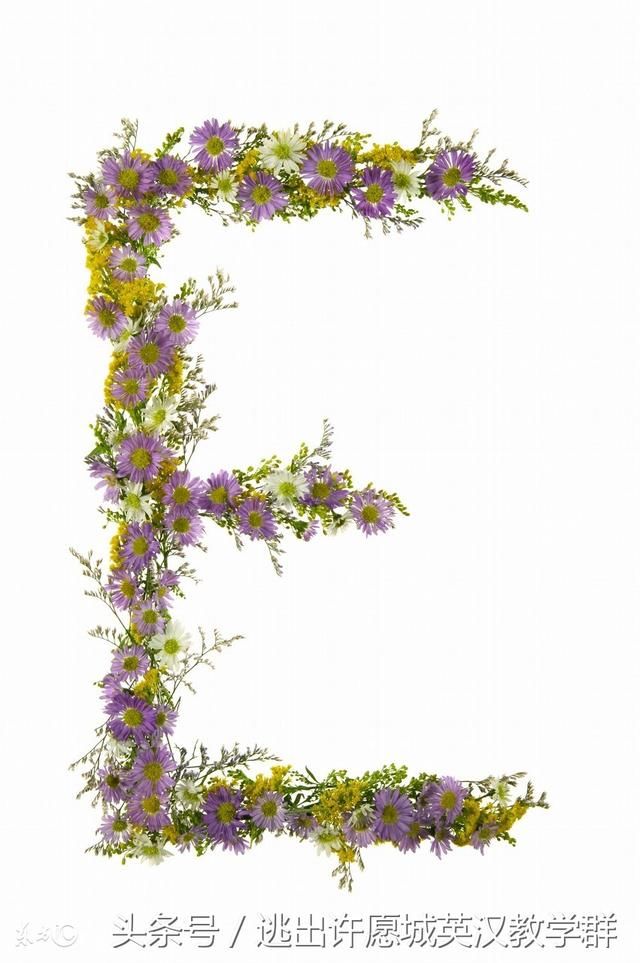 英语以辅音字母加y结尾的名词和动词怎么样加