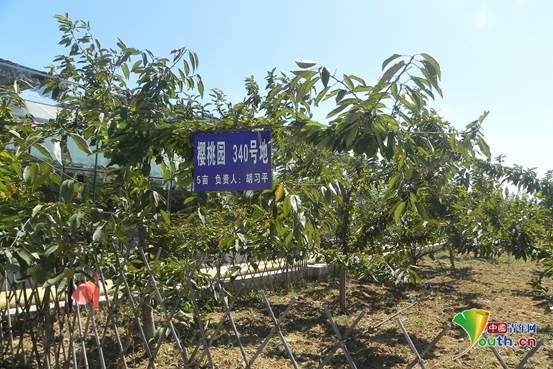 石家庄第三届旅发大会10月开幕 筹备工作有序