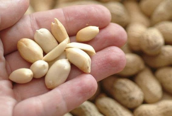 煮绿豆放这两样东西,清热解毒,气血双补!比单喝