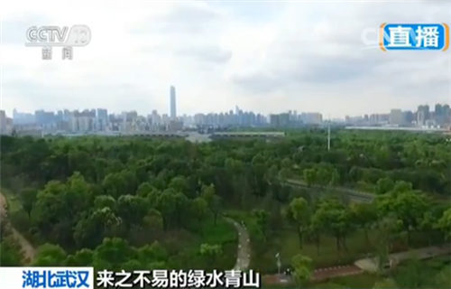 【来之不易的绿水青山】湖北武汉 园博园：生态治理 垃圾场变公园