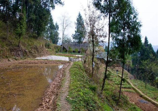 女人死了女儿,拐走朋友的儿子,18年后哭着求孩