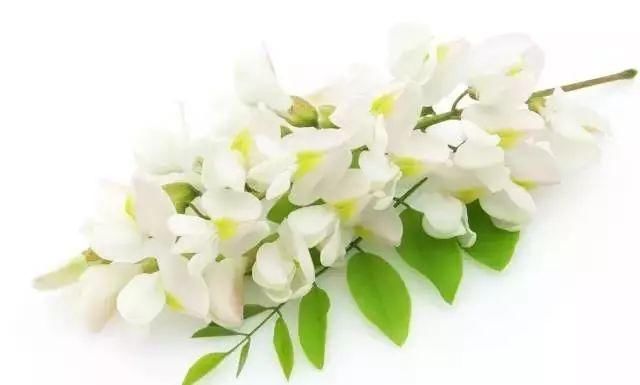 看看中国老祖宗是怎么治疗痔疮的!