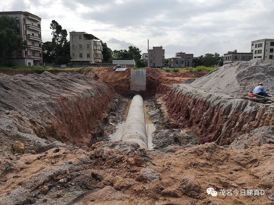 茂名中德大道最新航拍,架梁、铺路进行时,年底